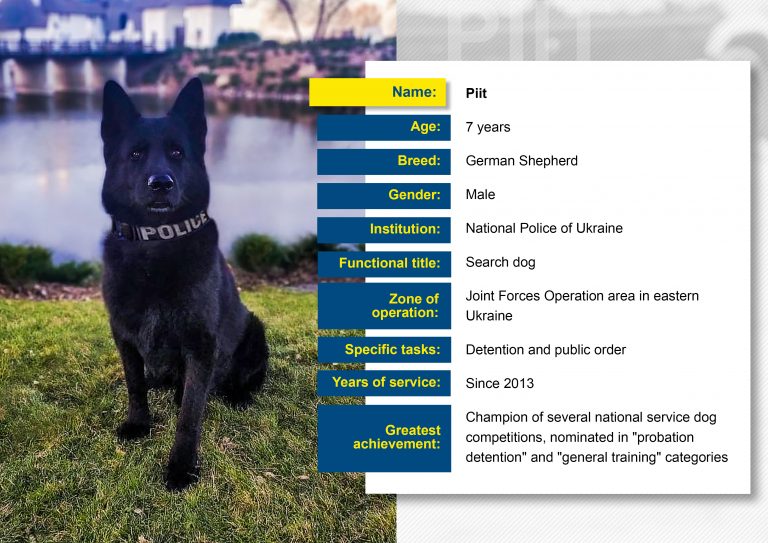 Selfless and proud the service dogs of Ukraine’s Civilian Security